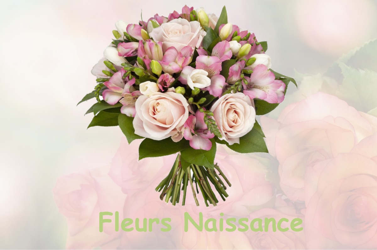 fleurs naissance VILLARDS-D-HERIA