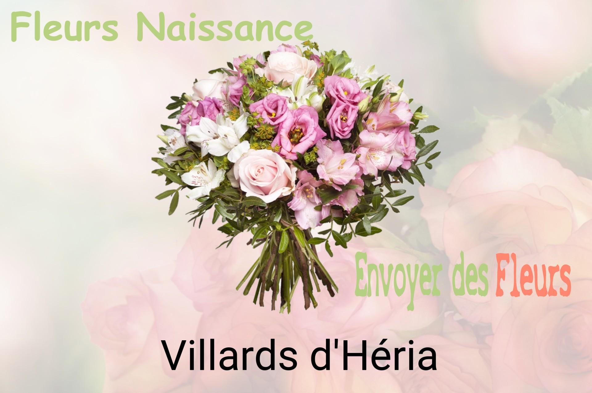 Bouquet de fleurs de naissance livré à Villards-d'Héria