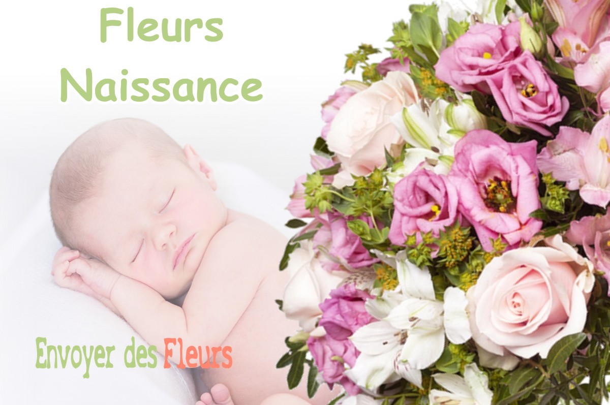 lIVRAISON FLEURS NAISSANCE à VILLARDS-D-HERIA